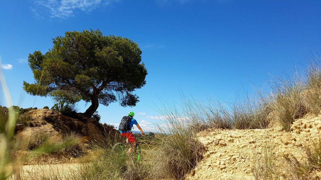 bardenas en fat bike