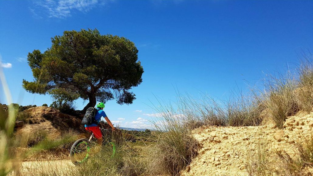 fat bike bardenas