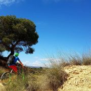 fat bike bardenas